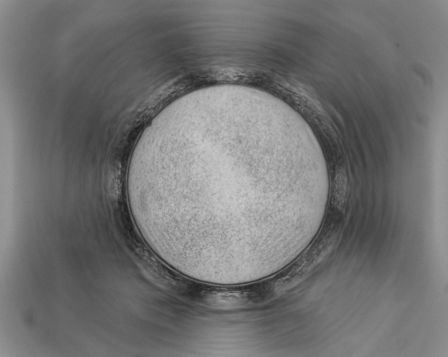 X0000112920413200909211057