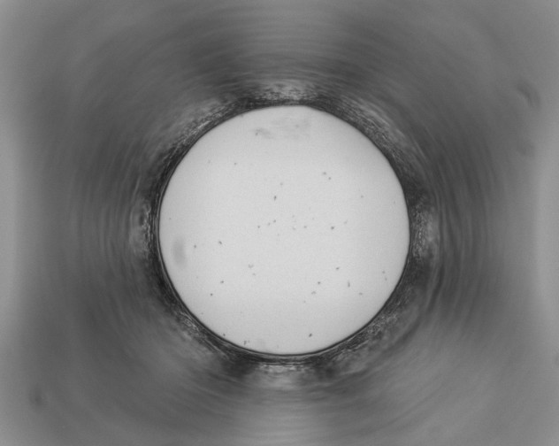 X0000112920414200909211057