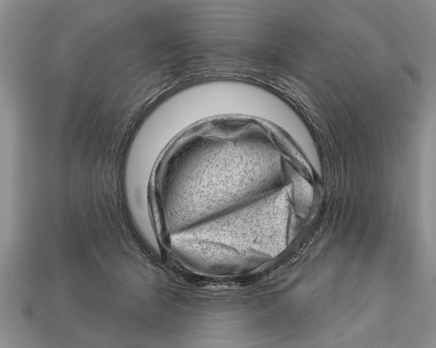 X0000112920415200909211057