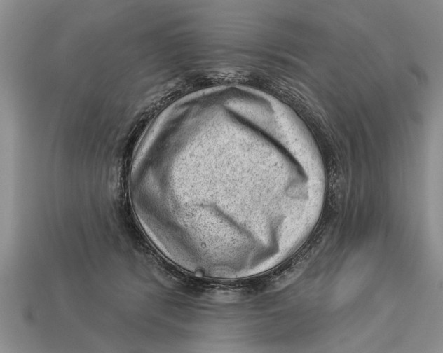 X0000112920416200909211057