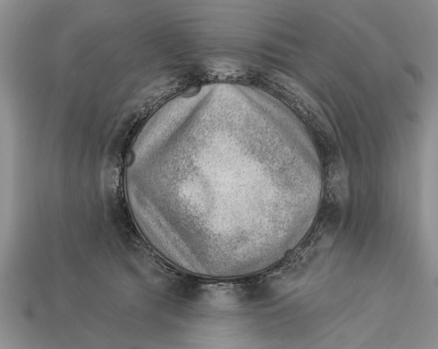X0000112920417200909211057