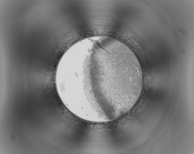 X0000112920419200909211057