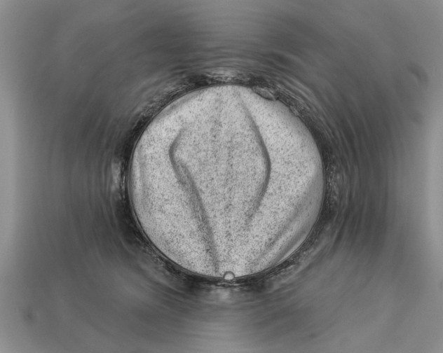 X0000112920420200909211057