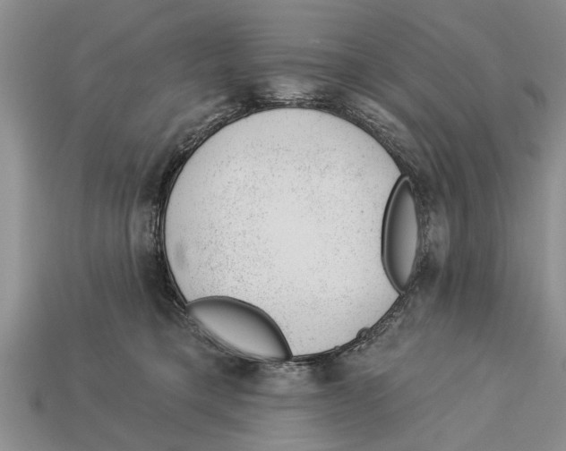 X0000112920421200909211057