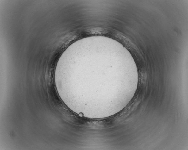 X0000112920422200909211057