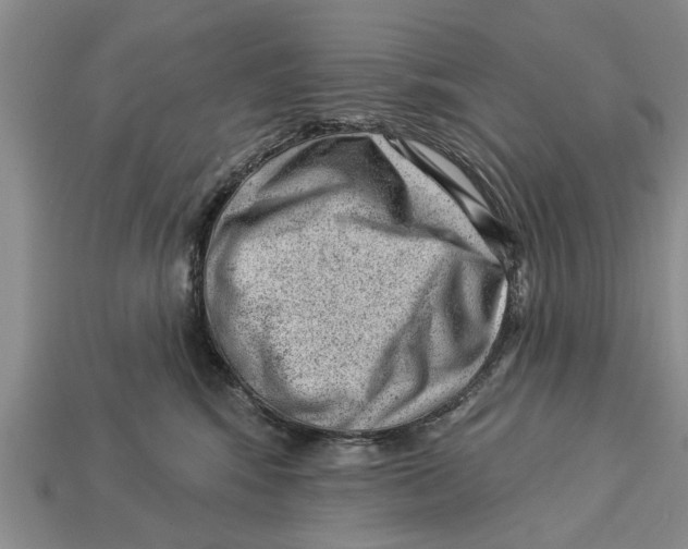 X0000112920424200909211057