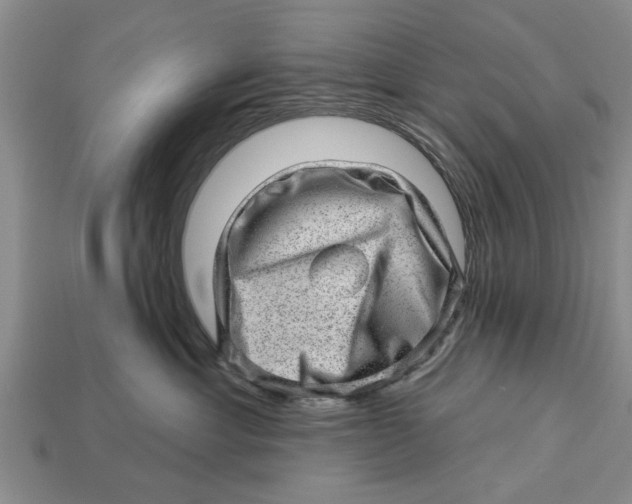 X0000112920429200909211056