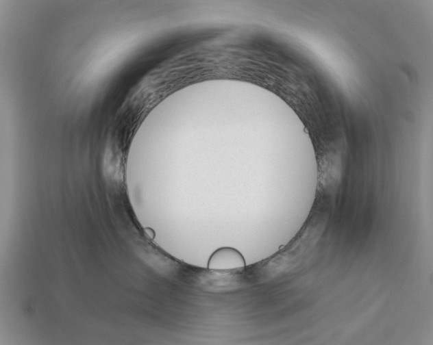 X0000112920431200909211056