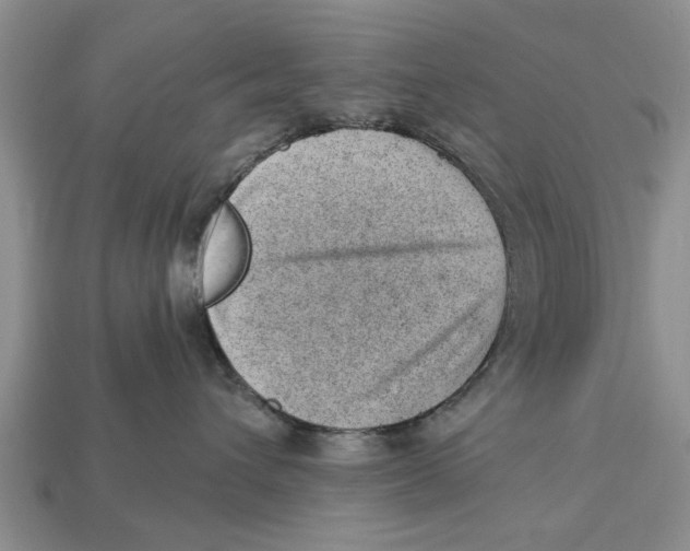 X0000112920432200909211056