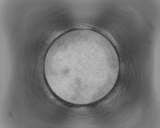 X0000112920433200909211056