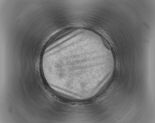 X0000112920434200909211056