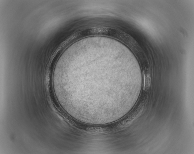 X0000112920435200909211056