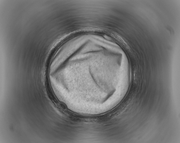 X0000112920436200909211056