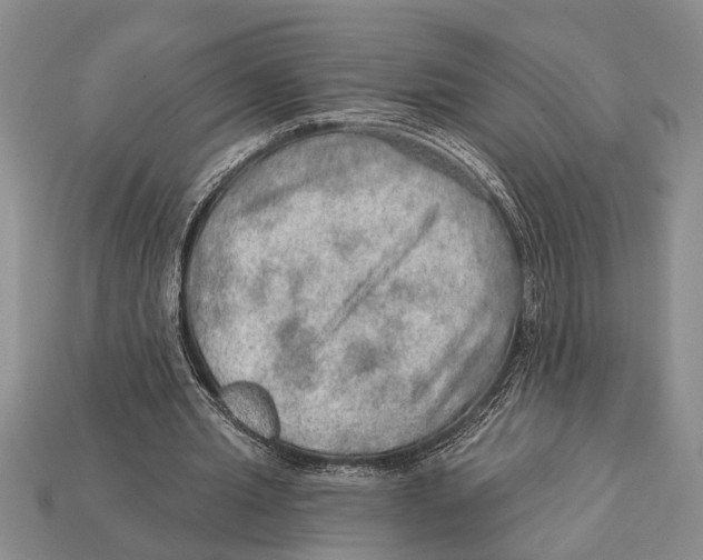 X0000112920437200909211056