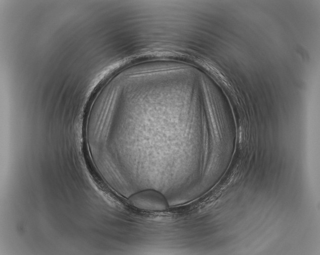 X0000112920438200909211056