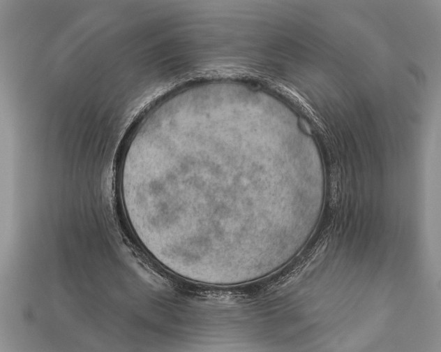 X0000112920439200909211056