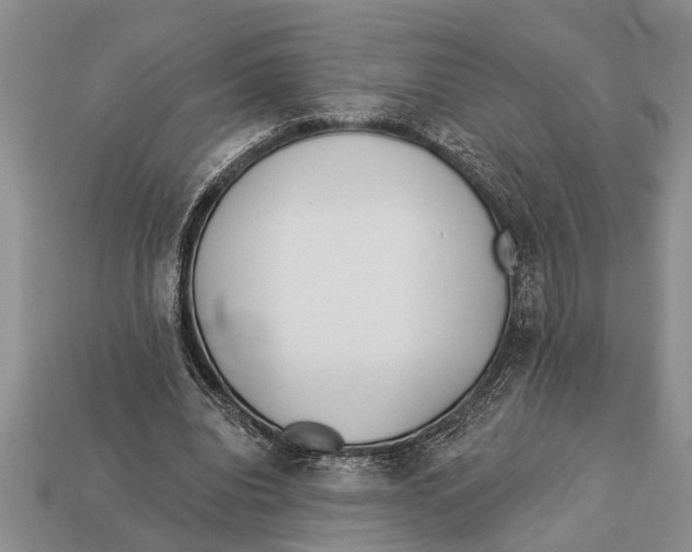 X0000112920440200909211056