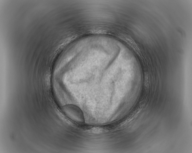 X0000112920441200909211056