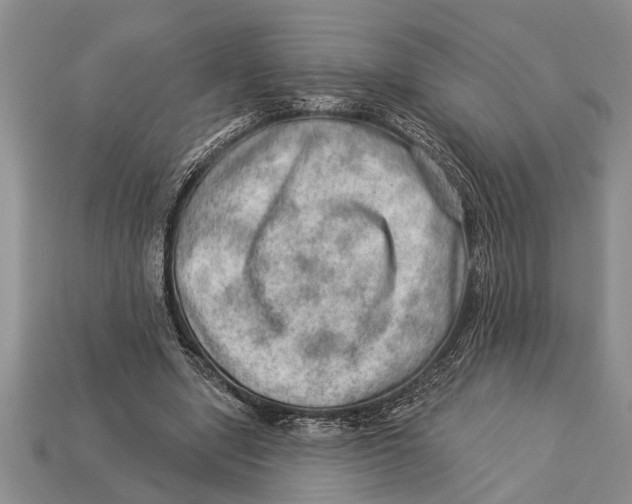 X0000112920442200909211056