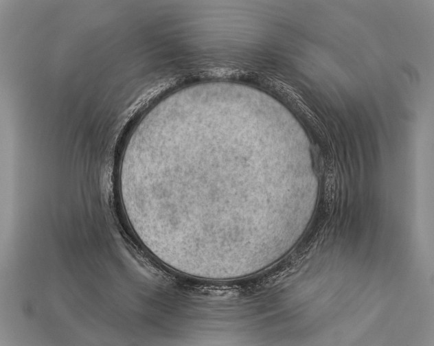 X0000112920443200909211056