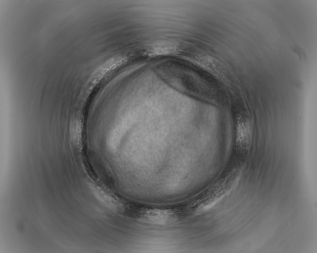 X0000112920444200909211056