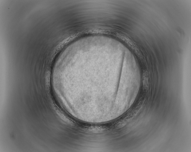 X0000112920445200909211056