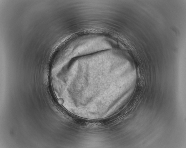 X0000112920446200909211056