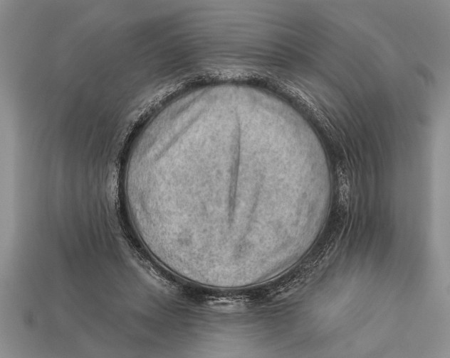 X0000112920447200909211056
