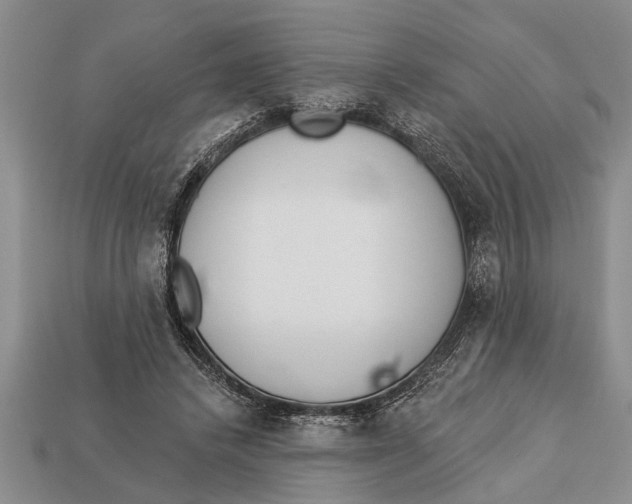 X0000112920448200909211056