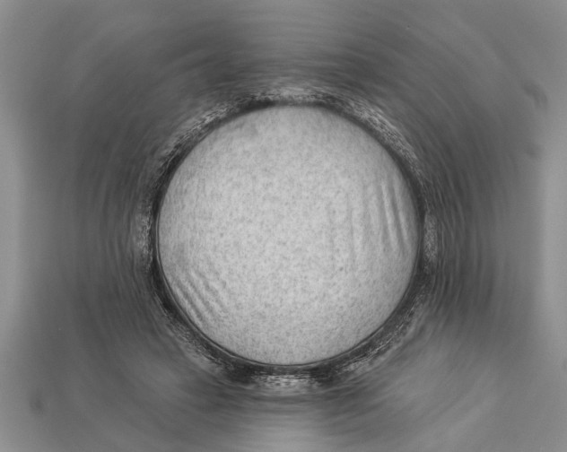 X0000112920449200909211056
