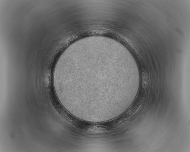 X0000112920451200909211056