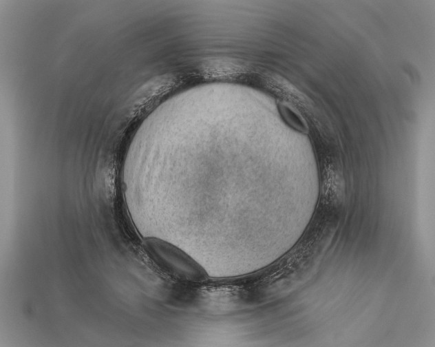 X0000112920452200909211056