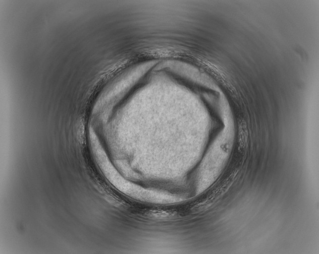 X0000112920453200909211056