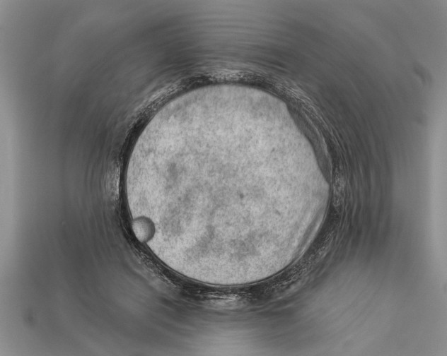 X0000112920454200909211056