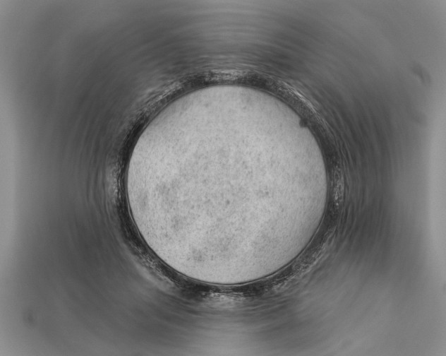 X0000112920455200909211056