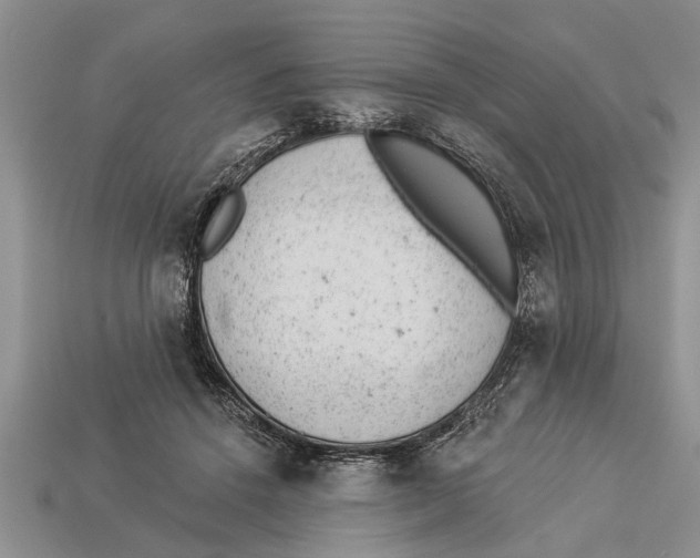 X0000112920456200909211056
