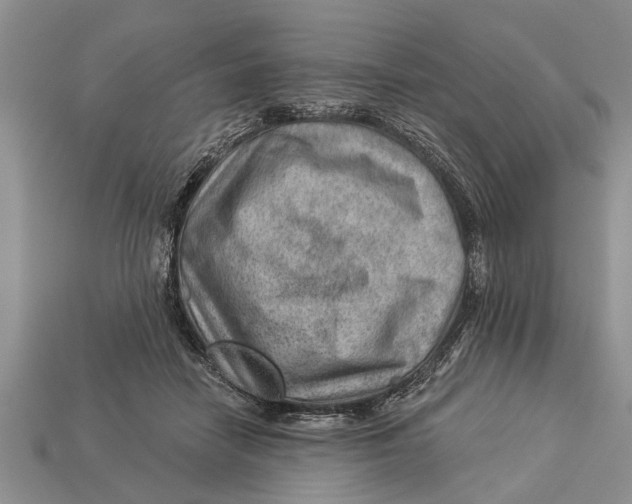 X0000112920458200909211056