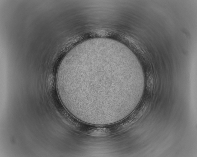 X0000112920459200909211056