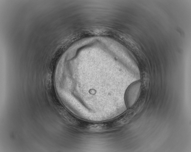 X0000112920461200909211056