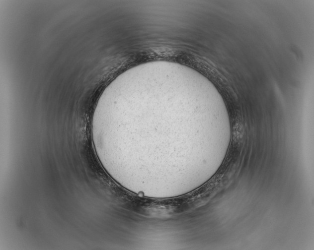 X0000112920464200909211056
