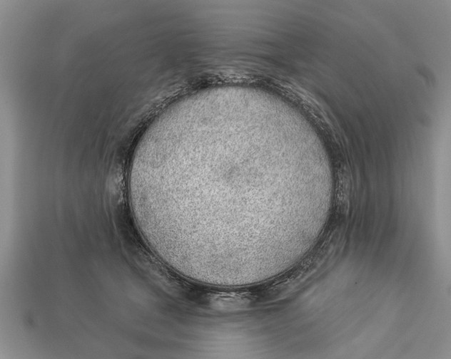 X0000112920465200909211056