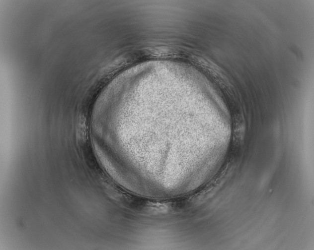 X0000112920469200909211056