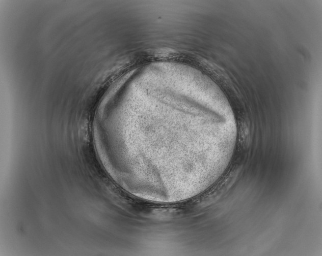 X0000112920470200909211056