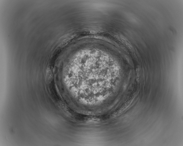 X0000112920471200909211056