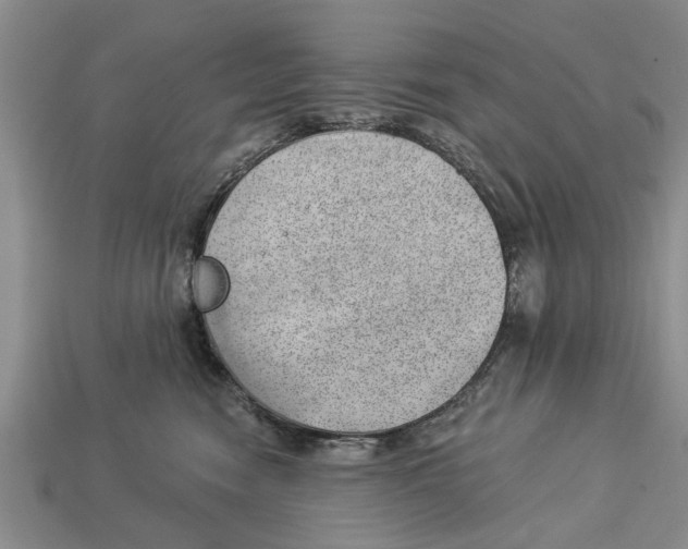 X0000112920474200909211056