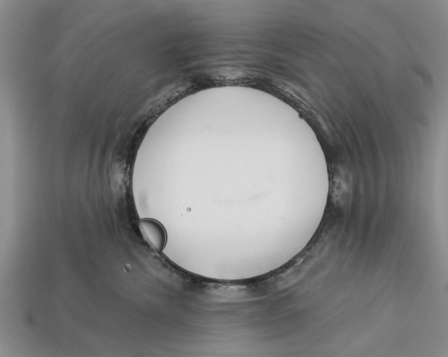 X0000112920476200909211056
