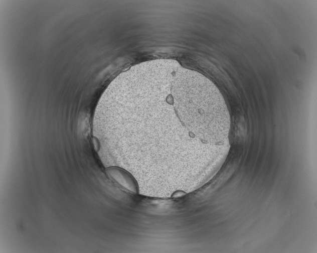 X0000112920478200909211056