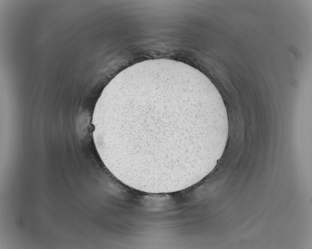 X0000112920480200909211056