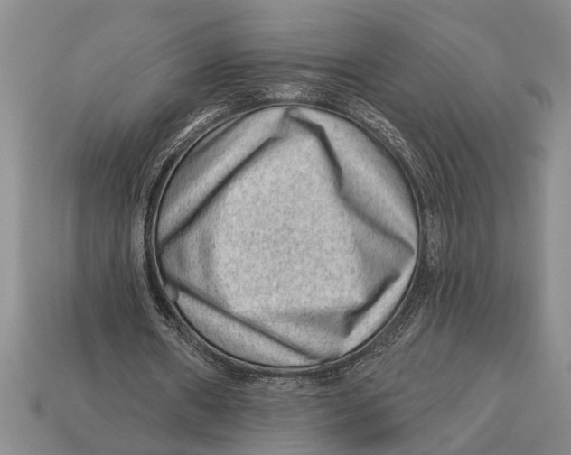 X0000112920482200909211056