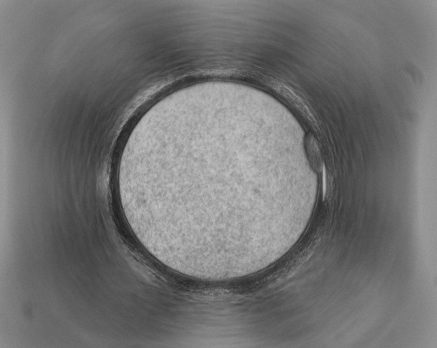 X0000112920483200909211056